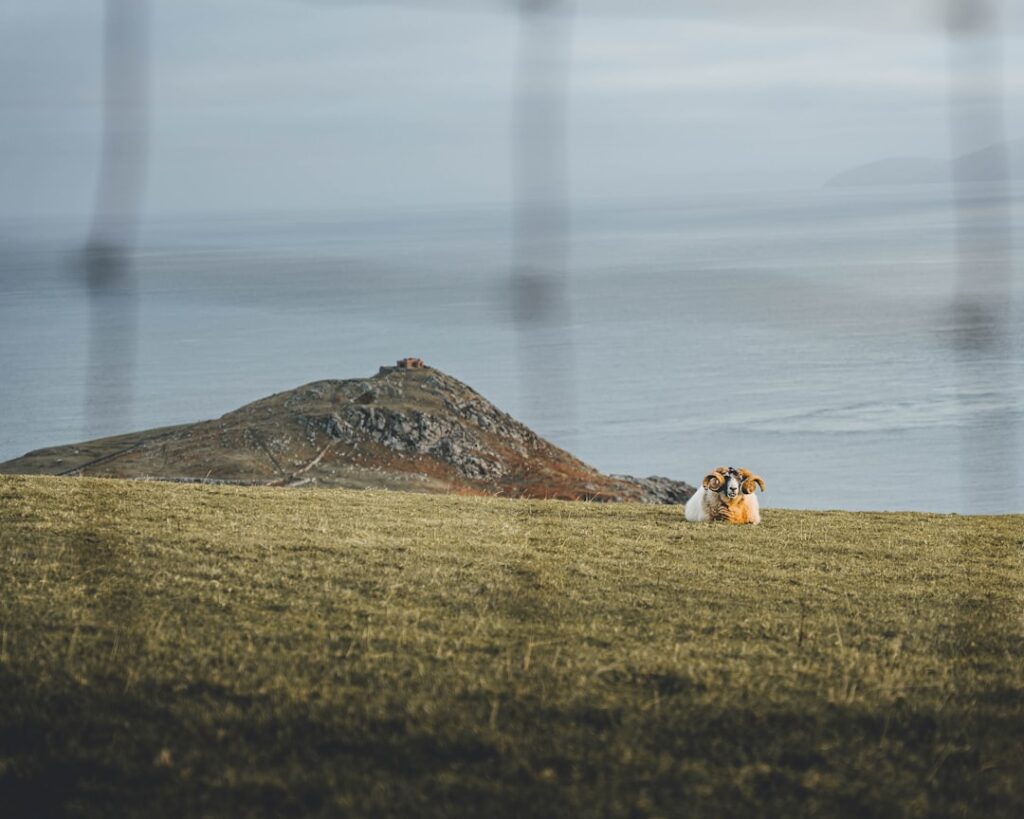 Steun en advies bij opvoeden: Samen sta je sterker